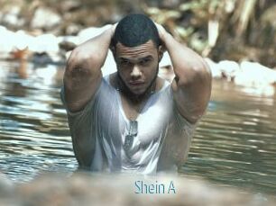 Shein_A