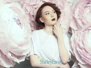 SheleyCarey