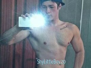 ShyLittleBoy20