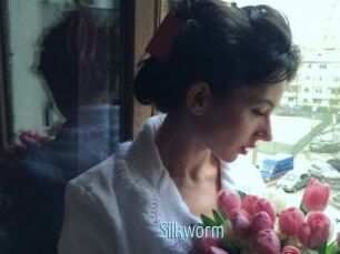 Silkworm