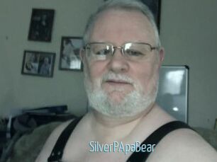 SilverPApaBear