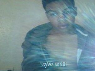 SkyWalker88