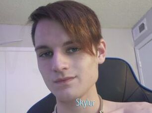 Skylur