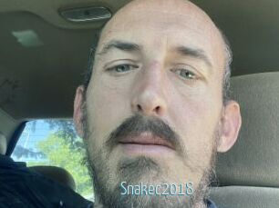 Snakec2018