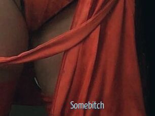 Somebitch