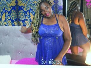 SorniGarza