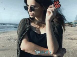 SpiceCatty