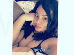 SpicySpade