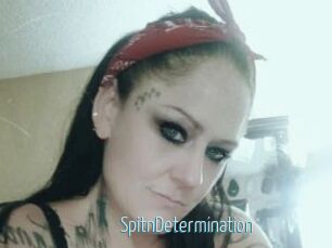 SpitnDetermination