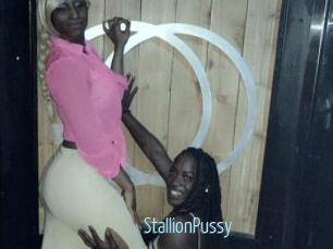 StallionPussy Video Sexe