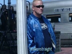 Stallionstraight