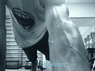 StevieVeins