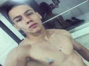 Stier