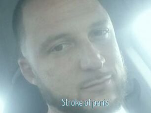 Stroke_of_penis