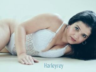 Harleyrey