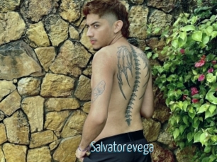 Salvatorevega