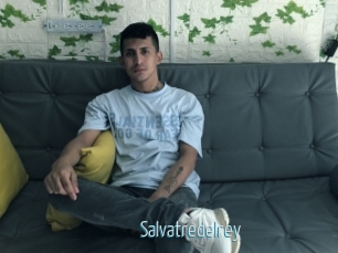 Salvatredelrey