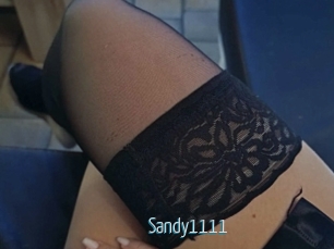 Sandy1111