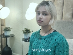 Sandyshayes
