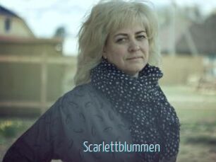 Scarlettblummen