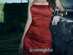Screaminglotus