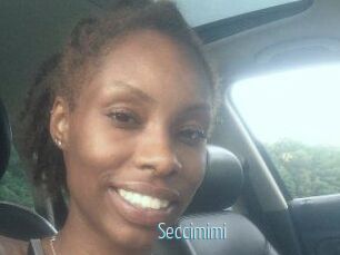 Seccimimi