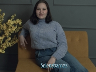Selenabarnes