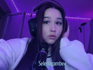 Selenagambee