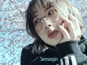 Seosoojin