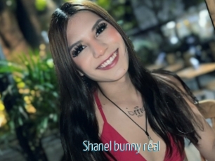 Shanel_bunny_real