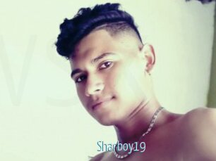 Sharboy19