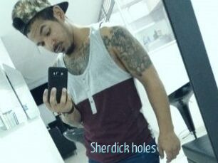 Sherdick_holes