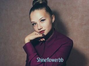 Shineflowerbb