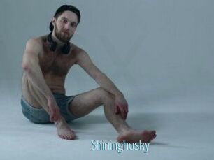 Shininghusky