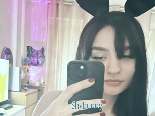 Shybunny