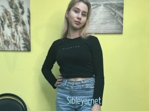 Sibleyarnet