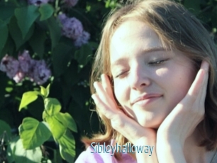 Sibleyhalloway