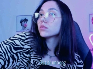 Silicialumberg