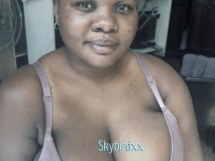 Skybirdxx