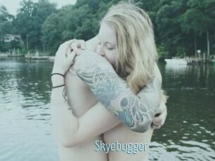 Skyebugger