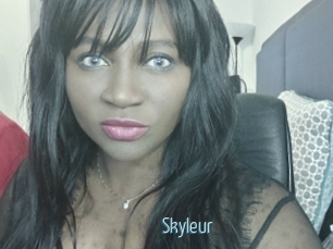 Skyleur