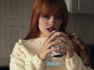 Skynabi