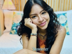 Skywiinter