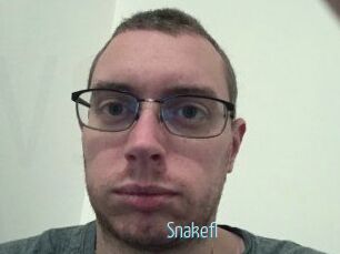 Snakefl