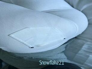 Snowflake21