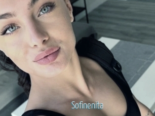 Sofinenita