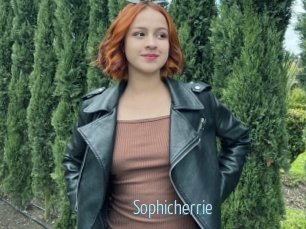 Sophicherrie