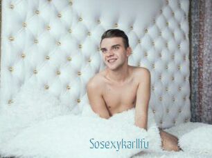 Sosexykarllfu