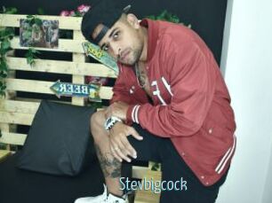 Stevbigcock