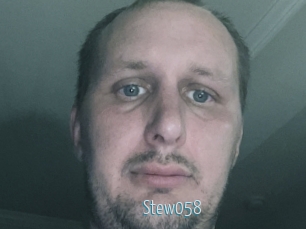 Stew058